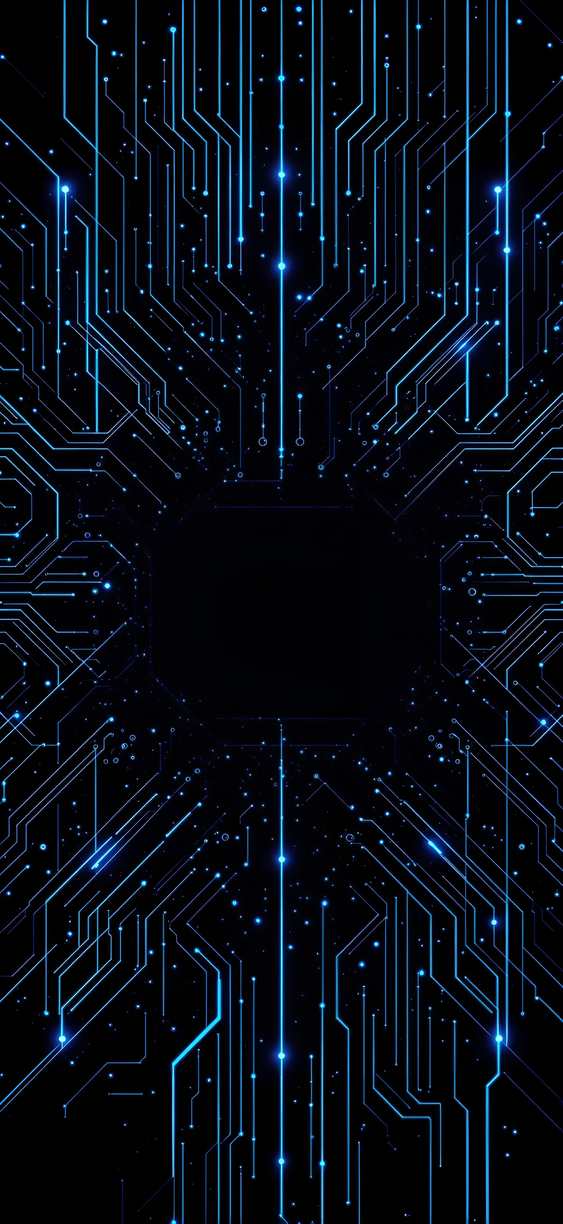 //